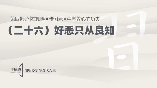 4.31 好恶只从良知
