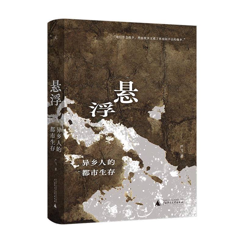  悬浮 ——异乡人的都市生存  严飞 著