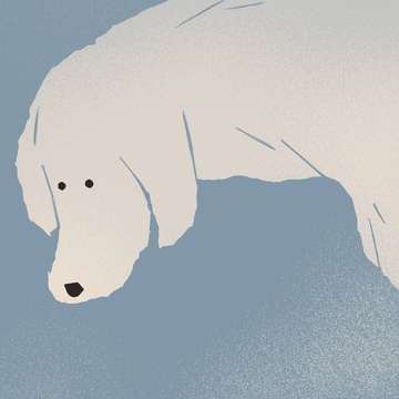 《不能承受的生命之轻》梁永安解读版封面