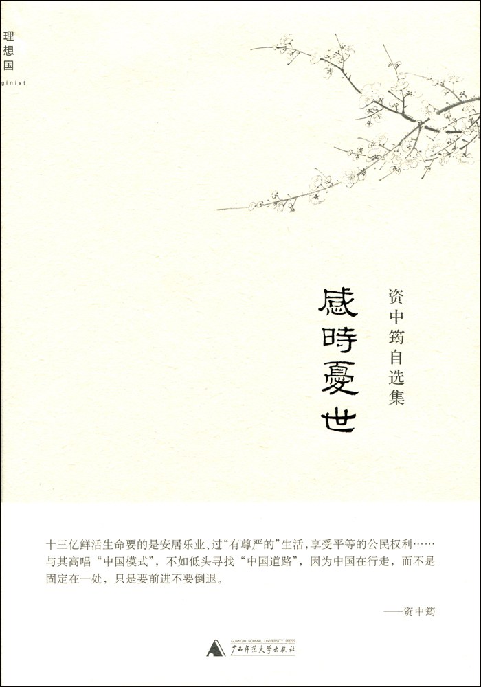 感时忧世