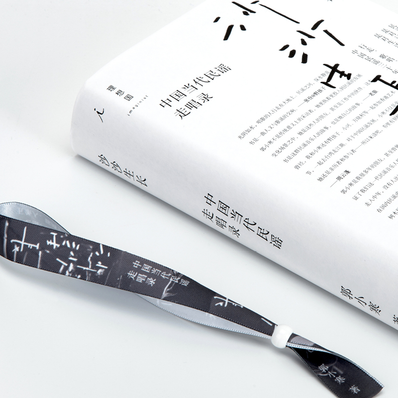 沙沙生长：中国当代民谣走唱录