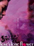 青春蝴蝶孤戀花